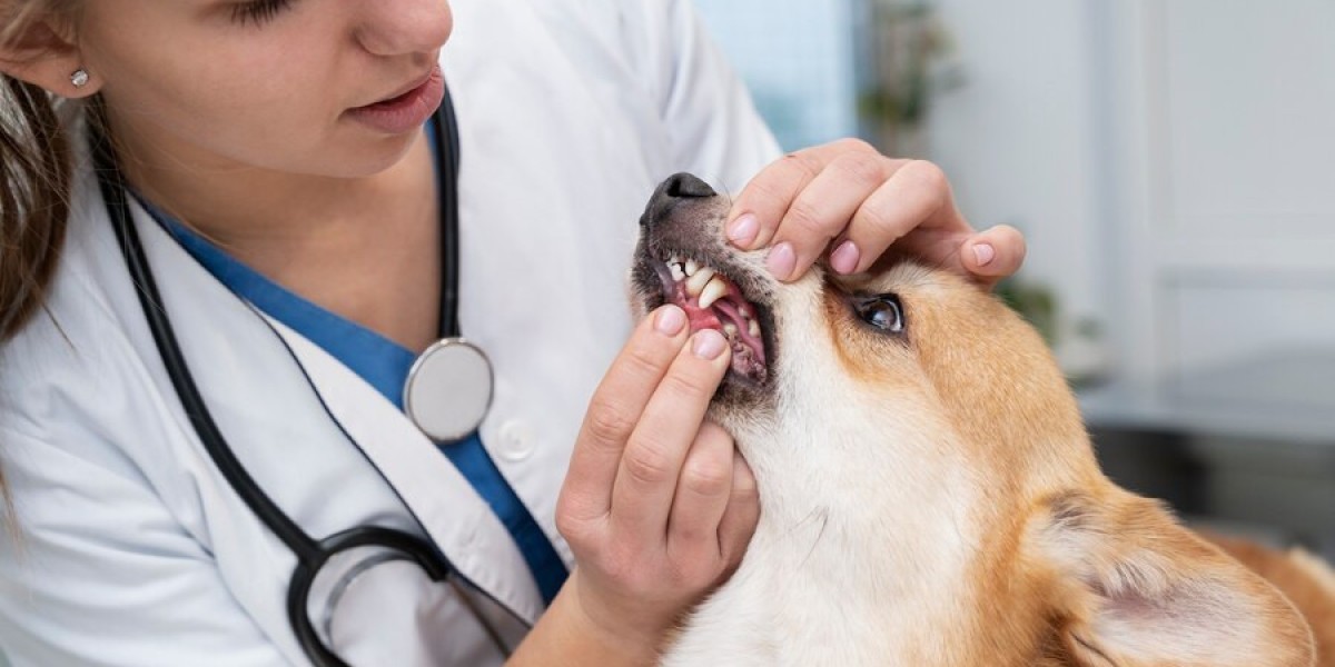 What Happens if You Give Your Dog Too Much Fenbendazole?